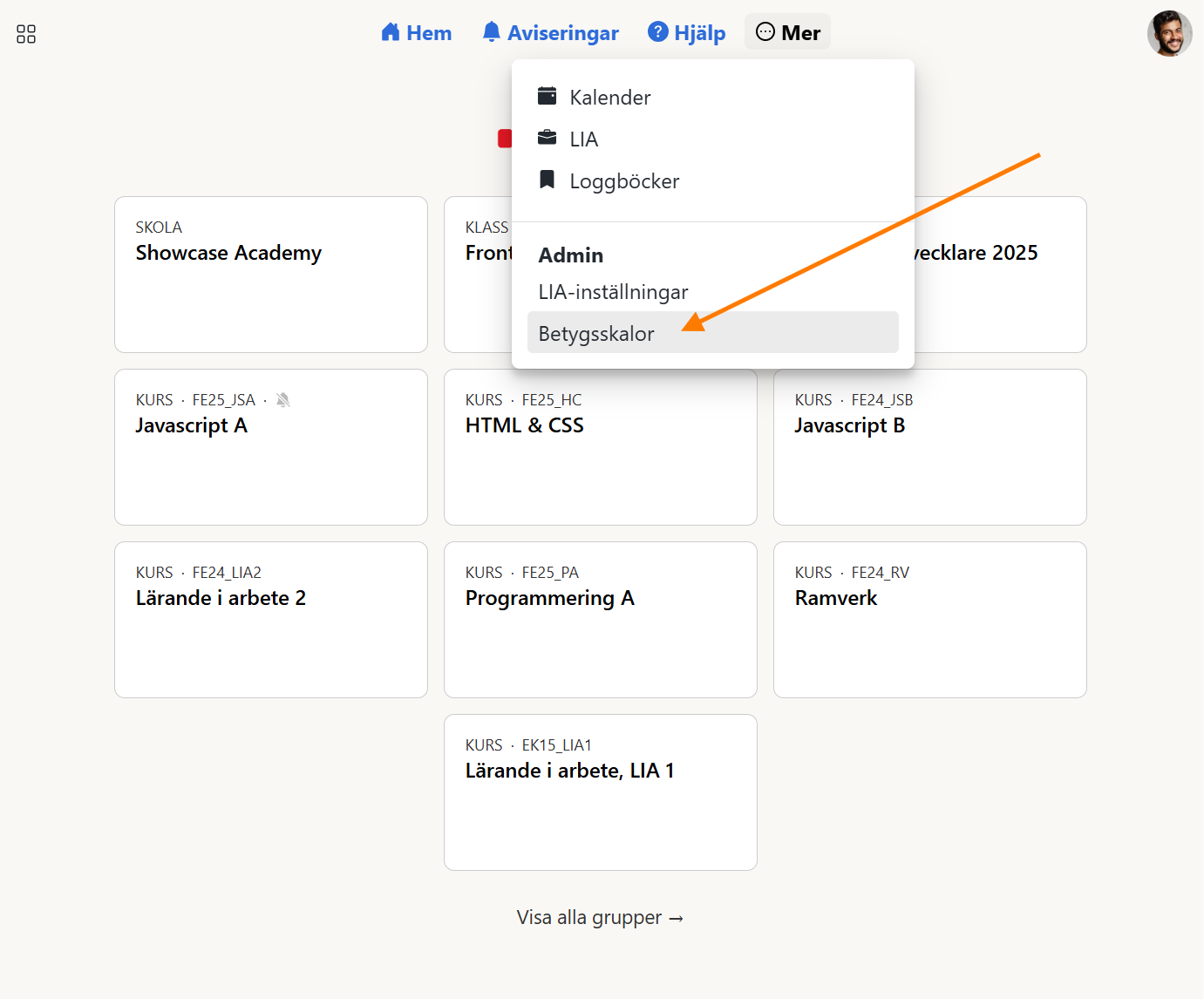Länken Betygsskalor